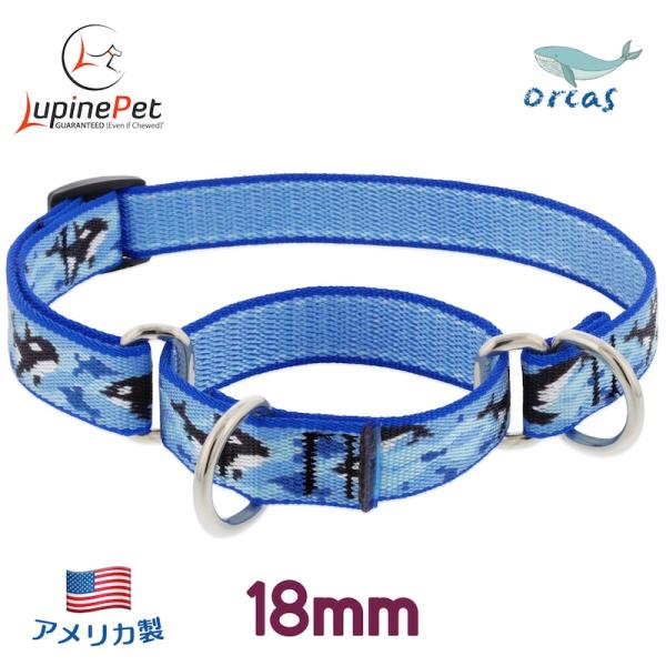 ハーフチョークカラー・Mサイズ・18mm幅 シャチ柄 Orcas 34-50cm　LUPINEルパイン アメリカ製　軽量 丈夫 中型犬　限定　リミテッド