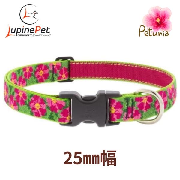 ワンタッチ首輪・Mサイズ・25mm幅　ペチュニア柄petunia　40-71cm　LUPINEルパイン アメリカ製　軽量　丈夫 中型犬・大型犬