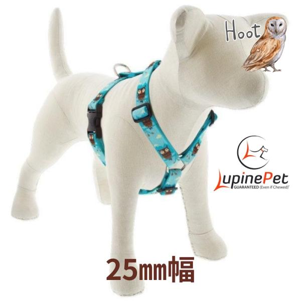 ローマンハーネス・XLサイズ 25mm幅フート Hoot柄 60-96cm LUPINEルパイン アメリカ製 軽量 丈夫 大型犬