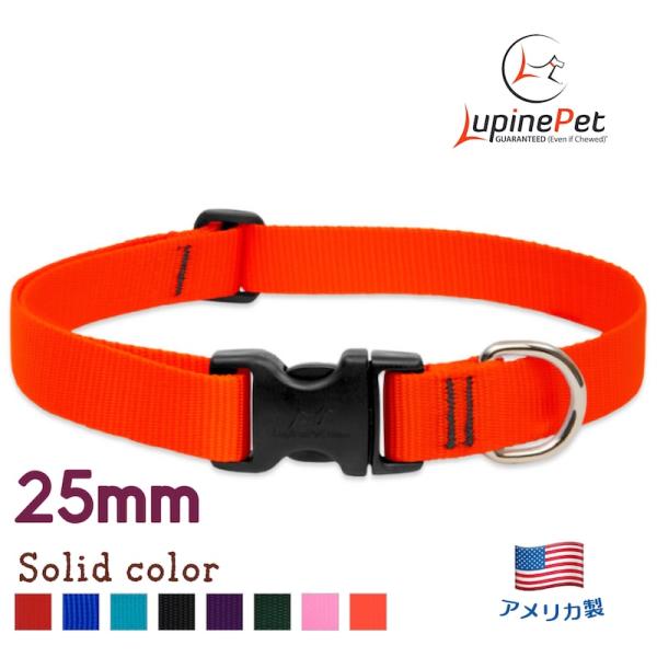 ワンタッチ首輪・Sサイズ・25mm幅　単色オレンジ　30-50cm　LUPINEルパイン アメリカ製軽量丈夫 中型犬・大型犬ソリッドカラー