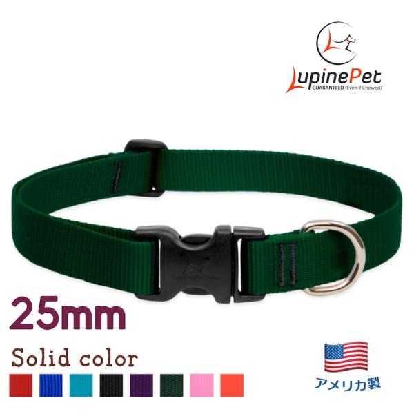 ワンタッチ首輪・Sサイズ・25mm幅　単色グリーン　30-50cm　LUPINEルパイン アメリカ製軽量丈夫 中型犬・大型犬ソリッドカラー