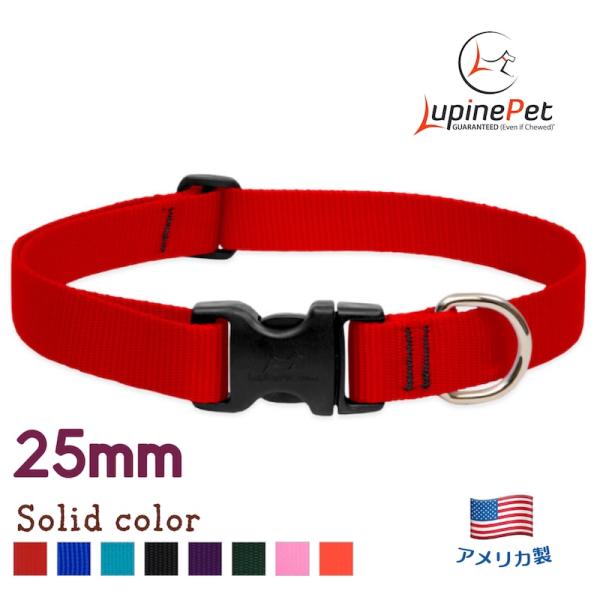ワンタッチ首輪・Sサイズ・25mm幅　単色レッド　30-50cm　LUPINEルパイン アメリカ製軽量丈夫 中型犬・大型犬ソリッドカラー