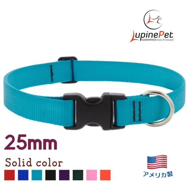 ワンタッチ首輪・Sサイズ・25mm幅　単色アクア　30-50cm　LUPINEルパイン アメリカ製軽量丈夫 中型犬・大型犬ソリッドカラー