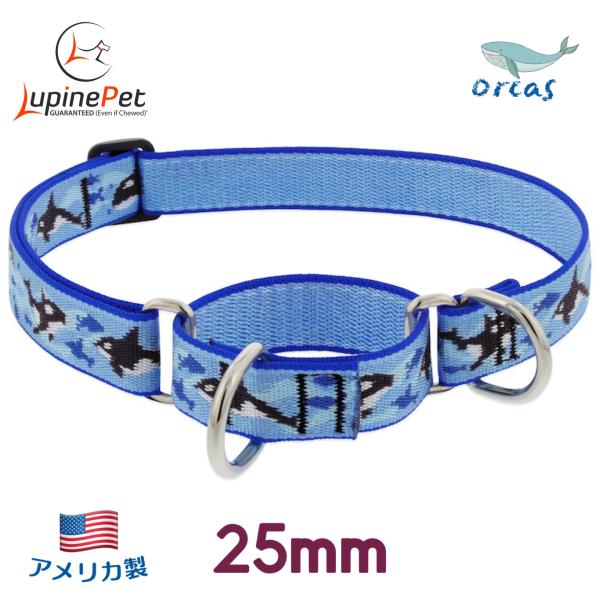 ハーフチョークカラー・Mサイズ・25mm幅　シャチ柄 Orcas　38-55cm　LUPINEルパイン アメリカ製　軽量丈夫・中型犬・大型犬