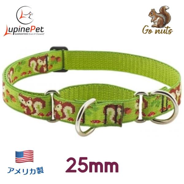 ハーフチョークカラー・Mサイズ・25mm幅　ゴーナッツ柄　38-55cm　LUPINEルパイン アメリカ製　軽量丈夫・中型犬・大型犬