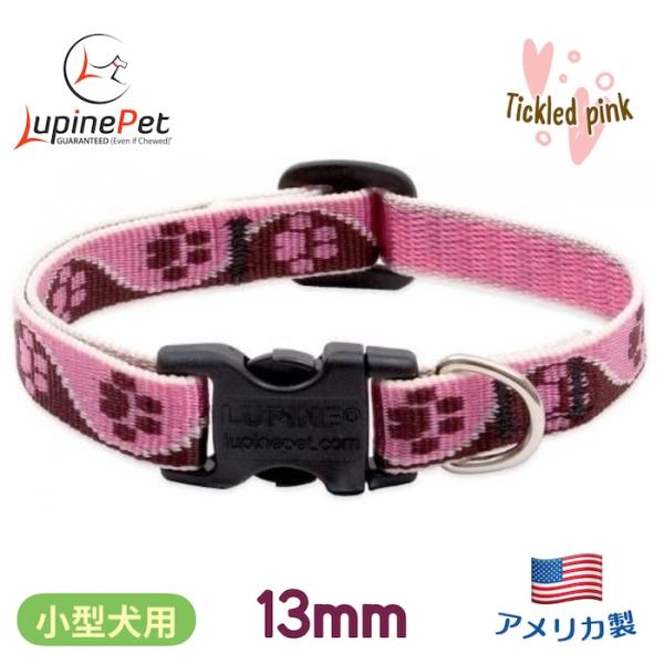 ティクルドピンク柄 小型犬向けワンタッチ首輪 13mm幅 Sサイズ 20-30cm LUPINE アメリカ製 軽量丈夫 ルパイン Tickled Pink