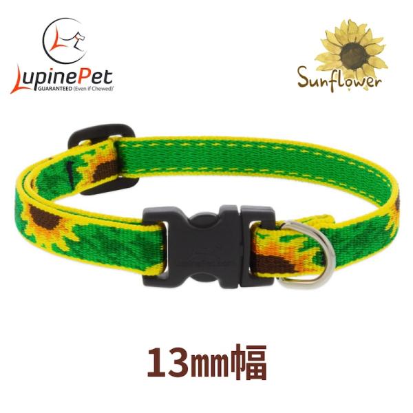 サンフラワー柄　小型犬向けワンタッチ首輪　13mm幅　Sサイズ　20-30cm　LUPINE アメリカ製　軽量　丈夫　ルパイン