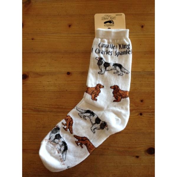 靴下　【キャバリアキングチャールズスパニエル】　22〜25ｃｍ[スマイルドッグ愛犬グッズ専門店]