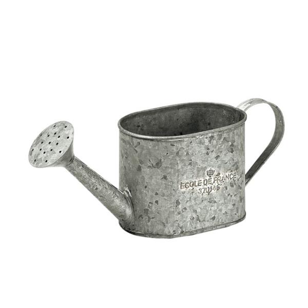 y/szDECO |bg Vo[ W[ y3ZbgzECOLE DE FRANCE