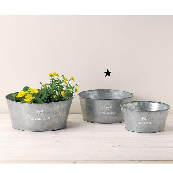 Green House �t�����`�V���o�[�u���L�T�[�N��M 4�Z�b�g 4�Z�b�g 225��×105Hmm 3391-B