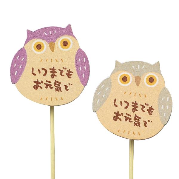 hV̓NbvsbN@ӂ낤 2F×e6{ 12{Zbg 3970s