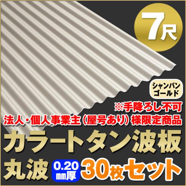 @lElƎijl菤i J[g^g ۔g 7 ݁F0.20mm 30Zbg J[FVpS[h dk-720-cg-30s