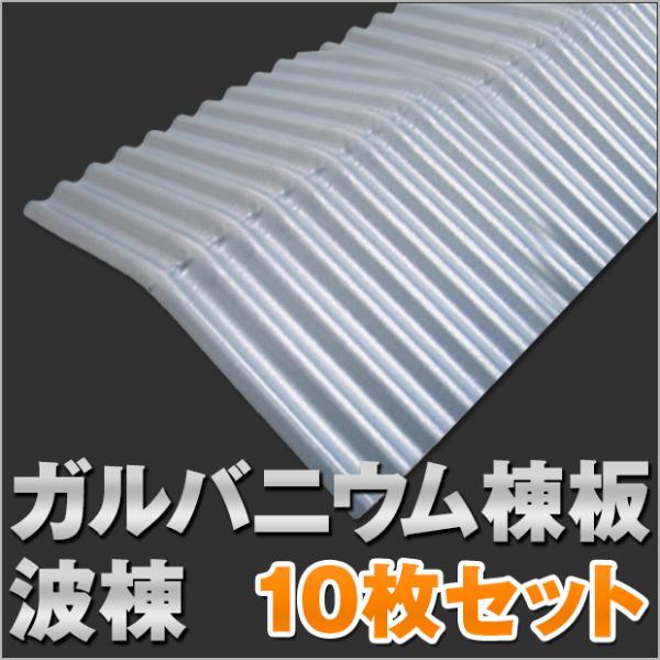 KojE  g 10Zbg g-namimune-10s