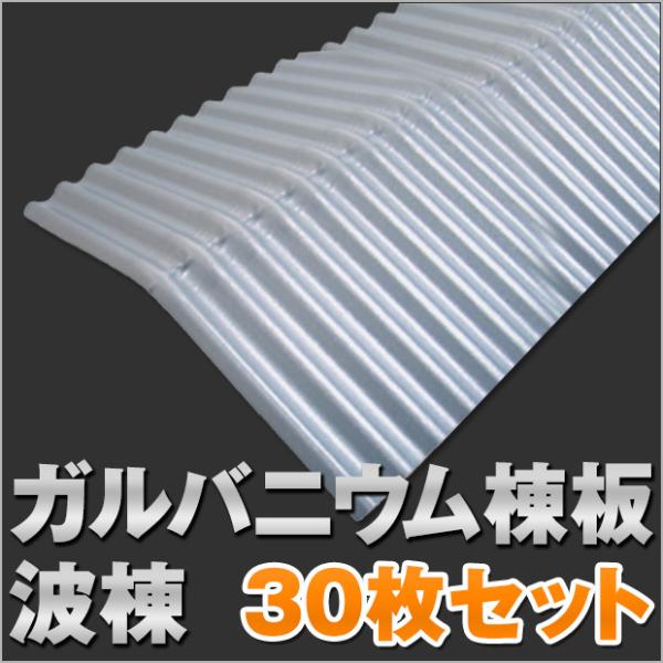 KojE  g 30Zbg g-namimune-30s