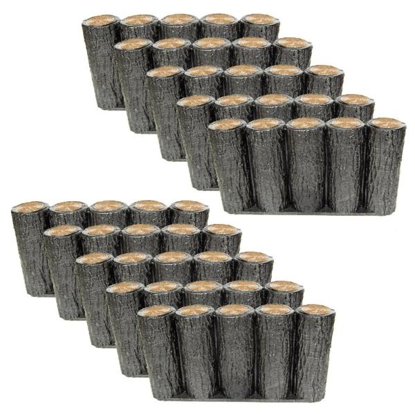 [ ͂Ȃ80 H300 5AsY^Cv 20{Zbg T| d؂ tFX  K[fjO  [