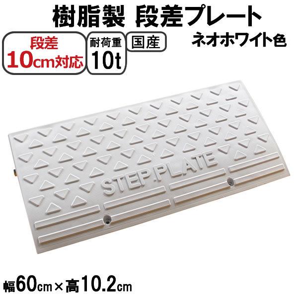 iv[g Xebvv[g i10cmp 60cm lIzCg Pi SPW 10-60×1 ω׏d10t Y ԏ Op  Ԃ