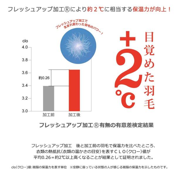 高品質激安大特価 新品特売 東京西川 羽毛布団 ブルー 羽毛布団 壁紙 シングル シベリアンマザーシルバーグースダウン93 壁紙風 日本製 壁紙風 Kab