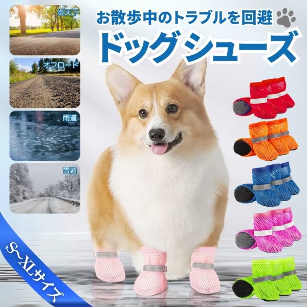 【主な特徴】◆ 通気性◎でムレ知らず！高品質なメッシュ素材を採用。夏場でも熱がこもりにくく、蒸れを防いで足を快適に保ちます。◆ 滑り止め加工のアウトソールフローリングやアスファルトでも滑りにくく、安心・安全なお散歩をサポートします。◆マジッ...