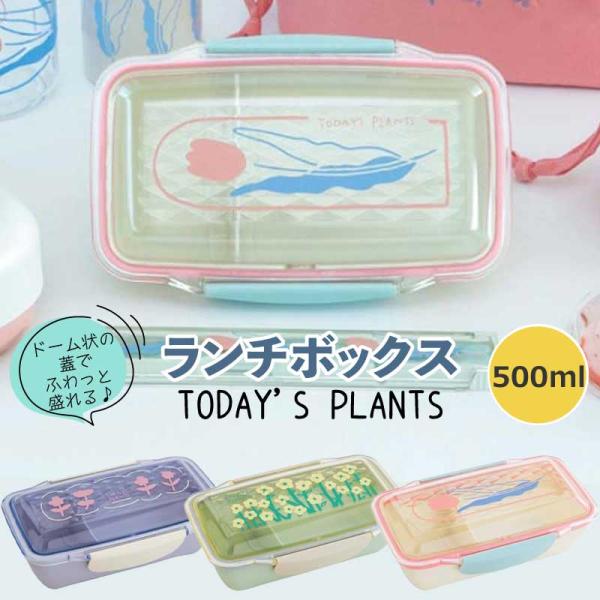 SALE ランチボックス 弁当箱 ドームランチ お弁当箱 おしゃれ レンジ対応 大人 子供 500ml お弁当 日本製 食洗機対応 弁当 抗菌加工 かわいい 一段 敬老の日
