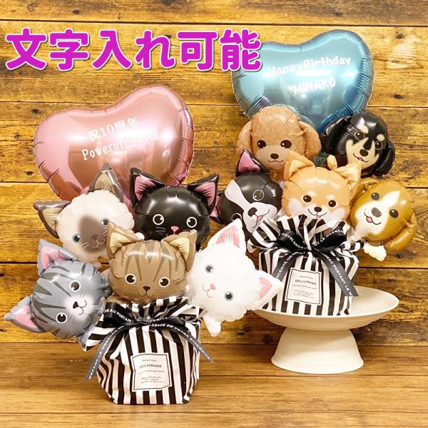 o[ JXj ybgVbv ybgT  ˂  L t[ Mtg v[g o[AW  a@