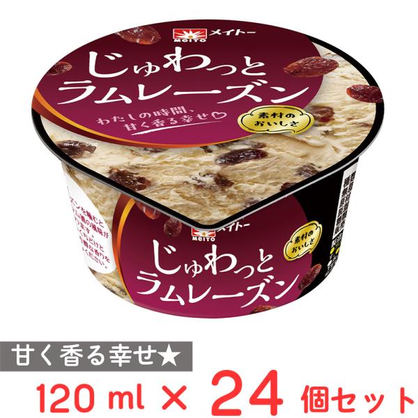 アイス] 協同乳業 じゅわっとラムレーズン 120ml×24個 : Smile Spoon