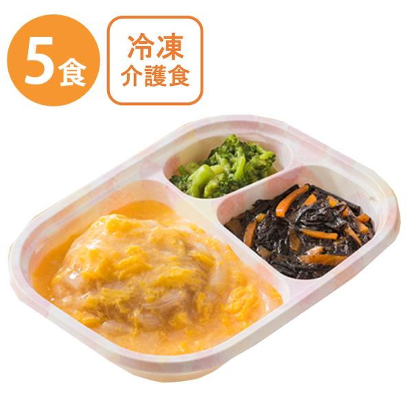 [冷凍] 日東ベスト ホスピタグルメセットN かつ煮 165g×5個