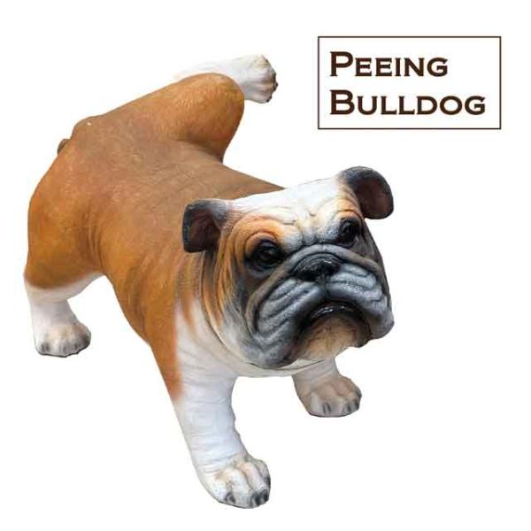 HK　D179B　陶器製と思われるブルドッグの置物　Bulldog　フィギュア フィギュア ブルドッグ : SmileVillage - 通販 - Yahoo!ショッピング