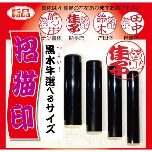 ӉԖ́uLv  lł킢 ӃnR: Ӌs ӎi ͂/nR/F//s/l//j/蕨/蒤 /