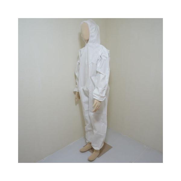 hsDzȂi10j xm܍H 1880 ĝăciM Ȃ  ƕ ƒ ی앞 h앞 t[ht hooΉ M`3L