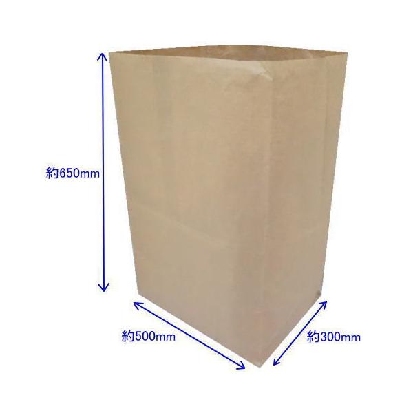 百貨店福袋 超特大 宅配袋 20枚 出荷袋 業務用 内側PEクロス 500×300×650 ラッピング材