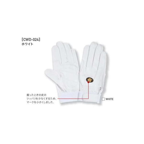 hc PROHANDS CWD-024 Ydl̏hcpf ZK{ԂɍœK vnY