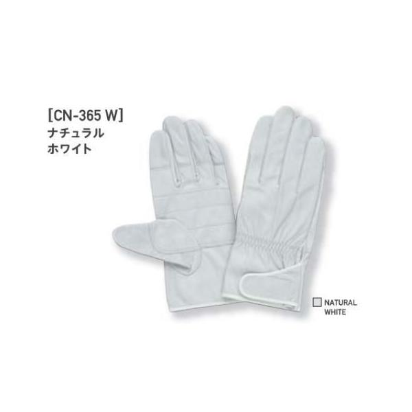 Aet PROHANDS CN-365 PƗp ̕^⋭AeẗʍƗp vnY