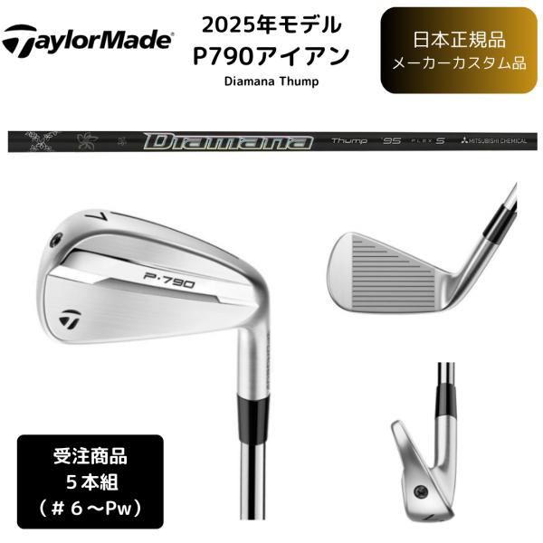 TaylorMade（テーラーメイド） 【受注商品】2025最新 P790 アイアン 6