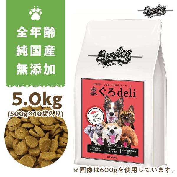 スマイリー まぐろdeli 5kg(500g×10) 乳酸菌配合 低GI 全年齢対応