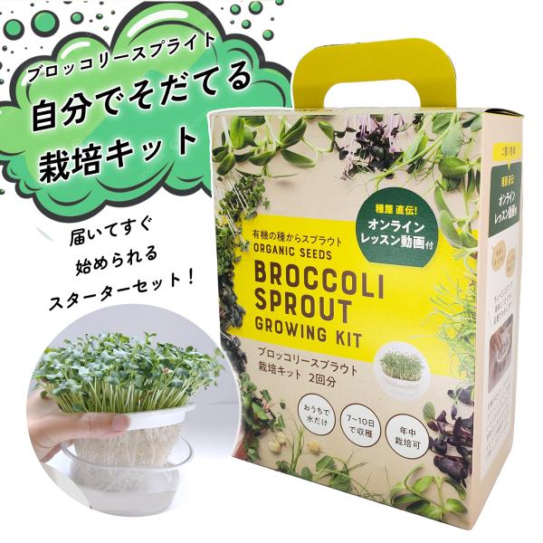 ブロッコリースプラウト栽培がすぐにできる、栽培容器と種2袋のお得なセット。※容器の色はブラックとなりますのでお買い求めの際はご注意下さい。かいわれタイプのスプラウト栽培に適した、スプラウト容器。「スプラウトの栽培をキッチンでやってみたい！」...