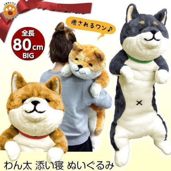 わん太ごろ寝ぬいぐるみ 全2種類 黒柴 茶柴 犬 いぬ イヌ ぬいぐるみ 抱き枕 特大 かわいい ビッグ プレゼント おもちゃ 子供 ベッド お祝