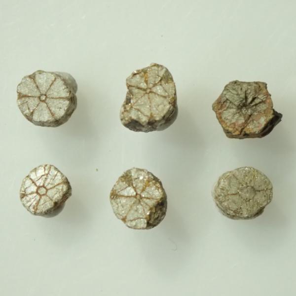 smoky83crystal_zzs085