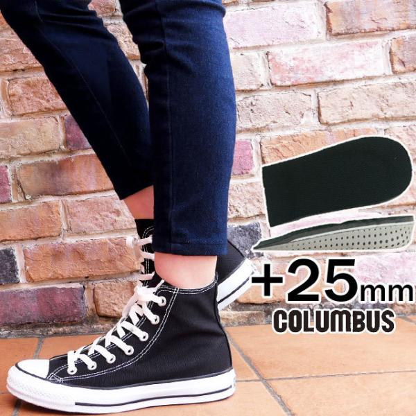 RuX X^C\[V COLUMBUS STYLE SOLUTION fB[X C\[ JJgtBbgAbv C\[ 2.5cm ~