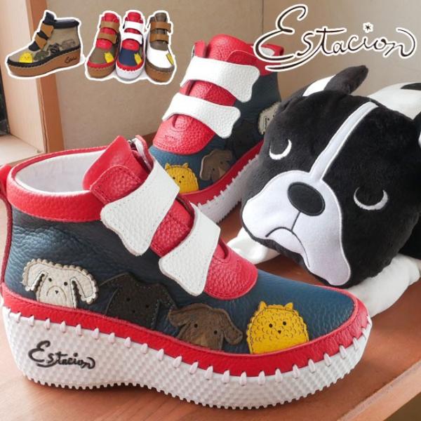 GX^VI Estacion V[gu[c {v U[  fB[X XE115   R hbO dog fUC {[ EFbW\[ 