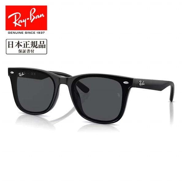 Ray-Ban（レイバン） RB4391D 601/87 65 RB4391D 【 日本正規品