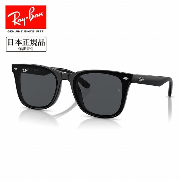 Ray-Ban（レイバン） RB4391D 601/81 65 RB4391D 【 日本正規品