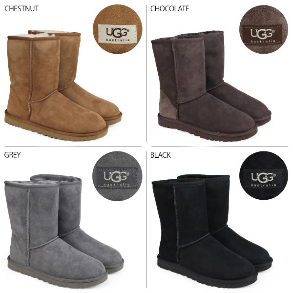 UGG AO [gu[c Y NVbN V[g MENS CLASSIC SHORT 5800 V[vXL i摜1