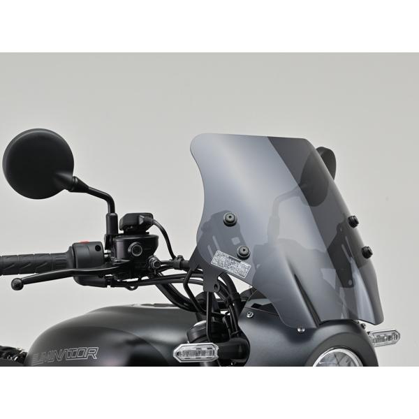 DAYTONA（デイトナ） 42235 DAYTONA ウインドシールド SS ELIMINATOR