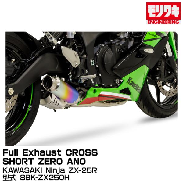 ^_^ アールズギア V-MAX ワイバンV-MAX（-08）ツイン（カーボン