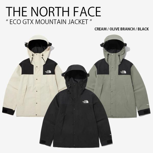 日本未入荷　美品THENORTHFACE マウンテンパーカー　ゴア　mens S THE NORTH FACE ノースフェイス マウンテンパーカー ECO GTX