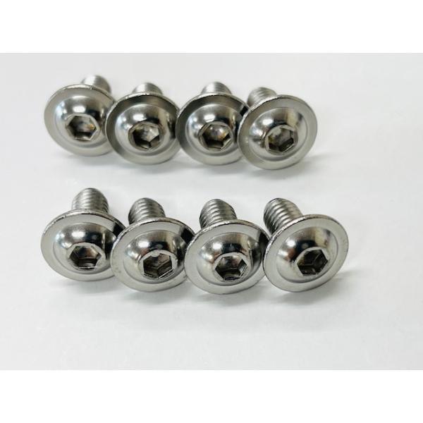 SG SNOWBOARDS  BINDINGパーツ CENTER SCREW　