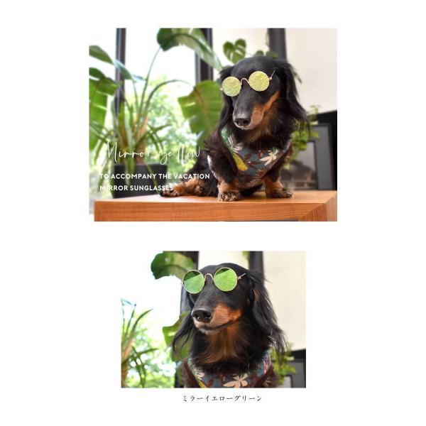 ゆうパケット送料無料 ミニサングラス 丸メガネ 仮装 コスプレ 犬 小型犬用 ペット Pet ペットグッズ ペット Petto ペット用品 ゆうパケット対応 Buyee Buyee Japanischer Proxy Service Kaufen Sie Aus Japan