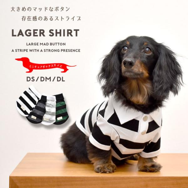 Snowdrop ダックスサイズ Ds Dm Dl ラガーシャツ ボーダー オリジナル Tシャツ 半袖ボーダーシャツ 犬 ドッグ 服 犬服 小型犬 中型犬 犬用品 Dog Dog ペッ Sd115d Snowdrop 通販 Yahoo ショッピング