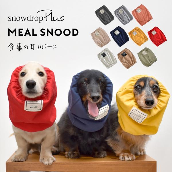 Snowdrop Yahoo ショッピング