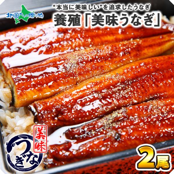 うなぎ 蒲焼き 120g 2尾 鰻 ギフト セット ウナギ プレゼント 海鮮 食べ物 土用の丑の日